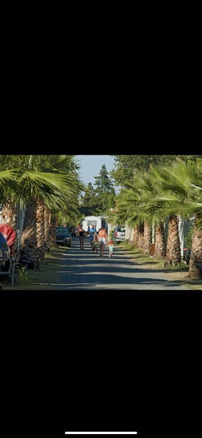 Camping 4 Etoiles Le Bosc Saint Cyrpien Mobil Home 外观 照片